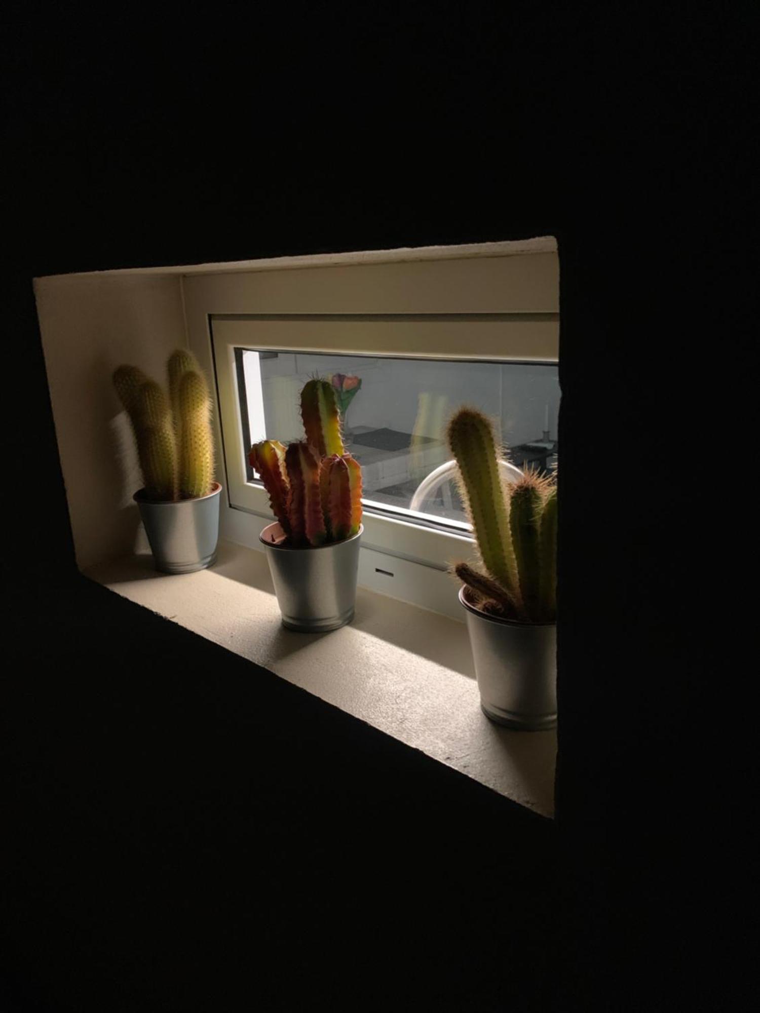 Mar&Mar, Apartamento Con Solarium Y Piscina 格兰塔拉雅 外观 照片